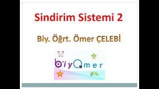 Sindirim sistemi 2 - Yardımcı Organlar, Besinlerin Sindirimi ve Emilimi