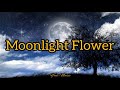 Moonlight Flower (Lyrics) | Michael Cretu
