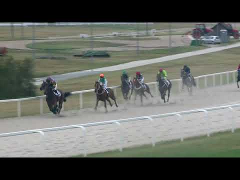 2018.08.26. 02. futam - NYERETLEN KÉTÉVESEK VERSENYE (IV.kat.) (szintetikus pálya)