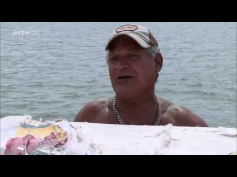 [Doku] 360 Geo Reportage - Cocos Island - Paradies für Haie [HD]