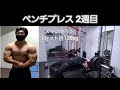 ベンチプレス　2週目