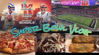 Super Bowl LVI Vlog 🏈🎉