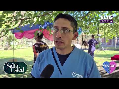 Salta y Usted EN VIVO | Entrevistas y actualidad en Salta |
