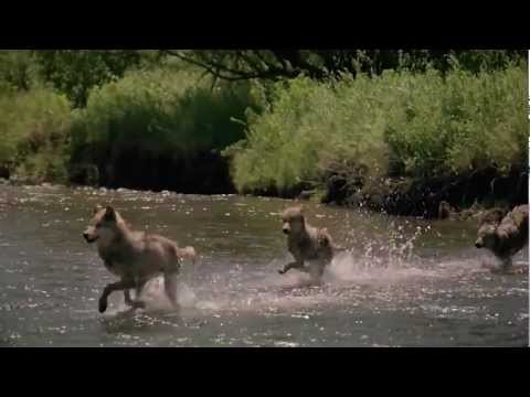 Tribute to Red People by Mn.mpg