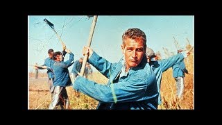 Little Known Facts About The Iconic Film &quot;Cool Hand Luke&quot;