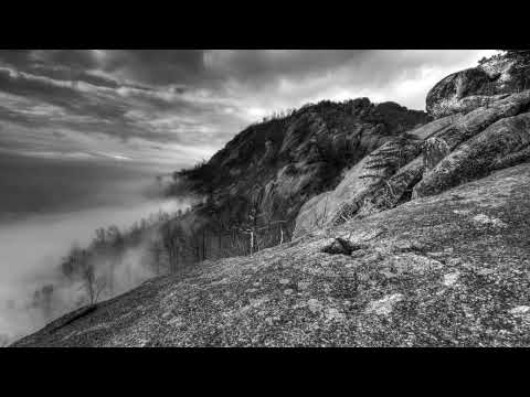 Savage Scream - Voice Inside