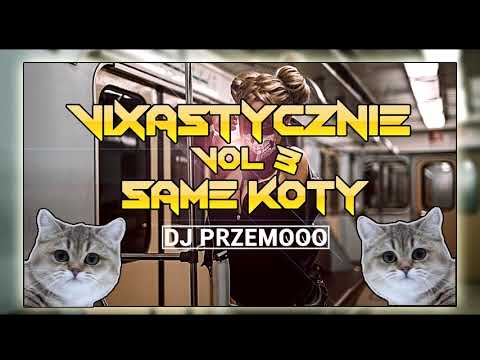 VIXASTYCZNIE VOL. 3 ★ SAME KOTY 🐱🐱 ★ NAJLEPSZA VIXA STYCZEŃ 2019 ✅ Dj Przemooo 😷❗🤯