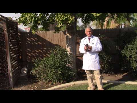 Hydrogen Peroxide to heal trees.