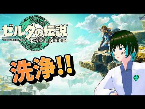 [1人配信]ゼルダの伝説 ティアーズ オブ ザ キングダムを初プレイ:Part22[#新人Vtuber]