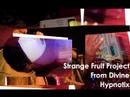 Strange Fruit Project - Hypnotix