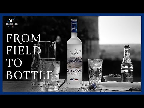 Wie Wodka hergestellt wird: Grey Goose Vodka vom Feld bis in die Flasche