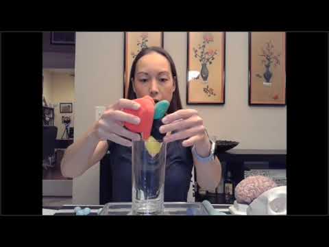 FOR KIDS: All About Chiari Malformation & Syringomyelia - Krystal Tomei, MD