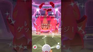 色違いダイマックスサイホーン出現🌋✨個体値は…🤔 #ポケモンgo #pokemongo #pokemongoshorts