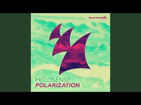 Polarization