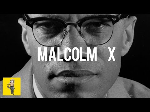 The Autobiography of MALCOM X | Animated Book Summary