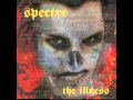 Spectre - Crooked