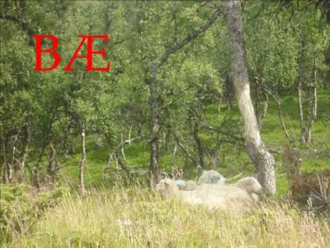 Fotosafari fra hyttetur