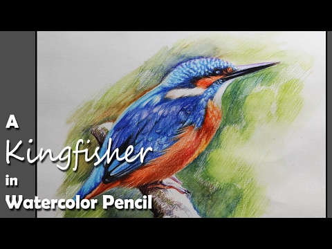 Mountains and Pine Tress Watercolor Pencil Landscape Drawing | steps to follow