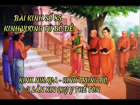 KINH NIKAYA - KINH TRUNG BỘ - BÀI KINH SỐ 85 - KINH VƯƠNG TỬ BỒ ĐỀ