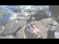 La Vie en Rose (Acoustic/Instrumental) 