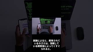 ネズミの雑学