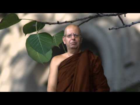 Einsichtsmeditation 2 - Die vier Verdrehtheiten - Chantasaro Bhikkhu