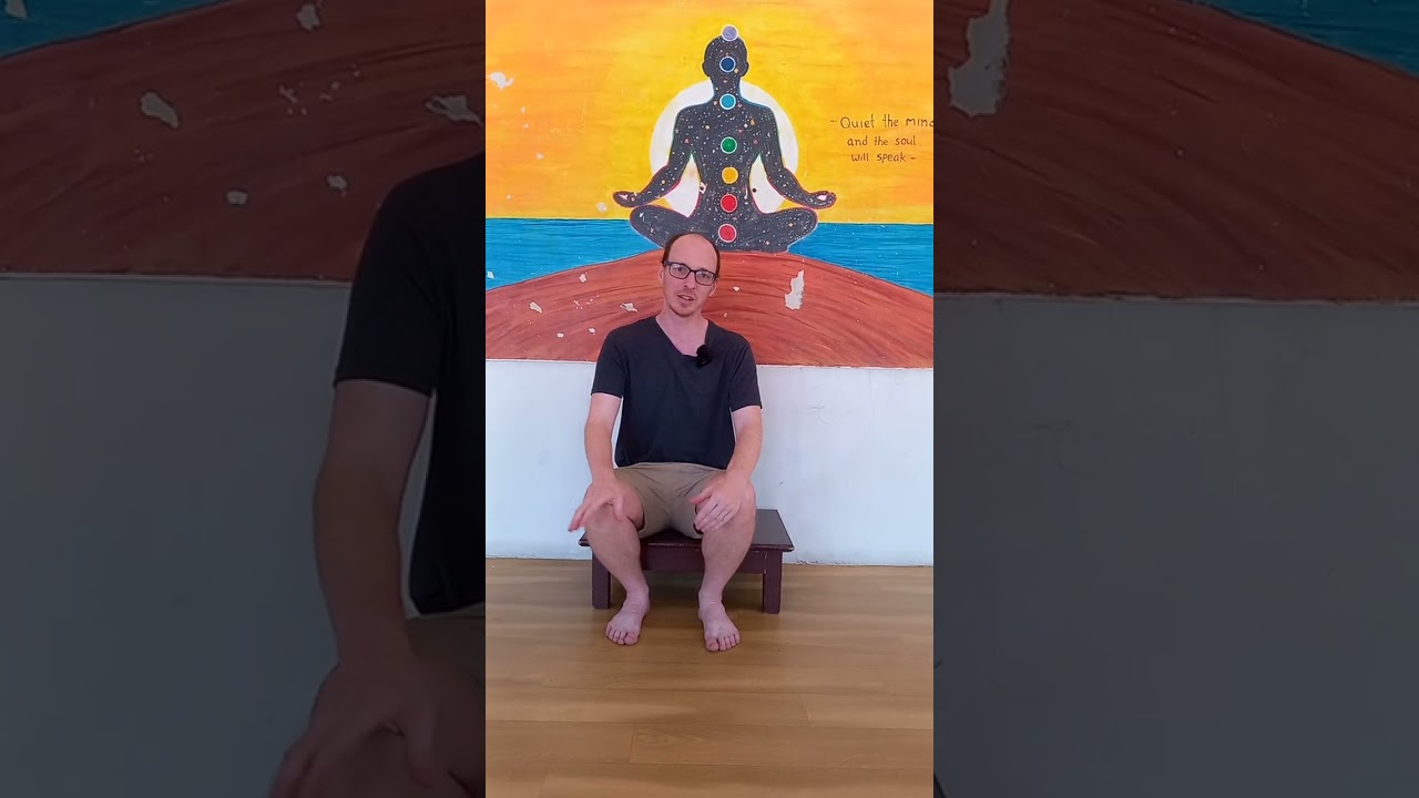 Seth From USA — Om Yoga International review