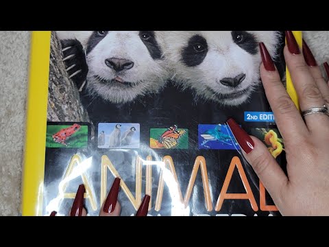 ASMR Page Flipping  National Geographic Animal Encyclopedia Book Page Sounds 🤤