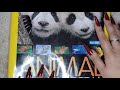 ASMR Page Flipping National Geographic Animal Encyclopedia Book Page Sounds
