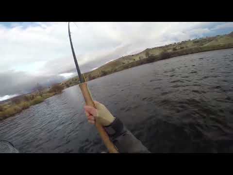 Steelhead Fishing on the DeschutesRiver - Warm Springs, OR 11/27/22