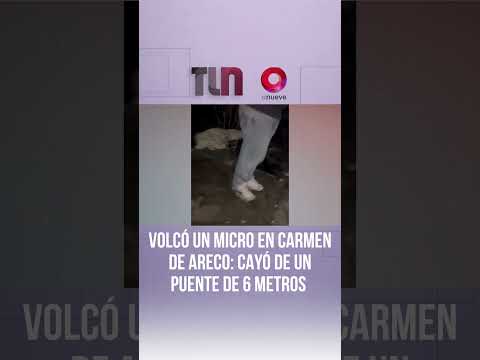 Volcó un micro en Carmen de Areco: cayó de un puente de 6 metros de altura