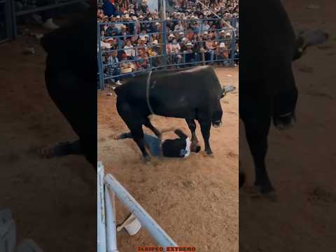 JARIPEO EXTREMO, MONTA DRAMÁTICA JINETE PRIVADO😱💯 #jaripeo #shorts