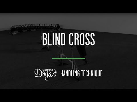 Blind Cross Agility Handling Technique