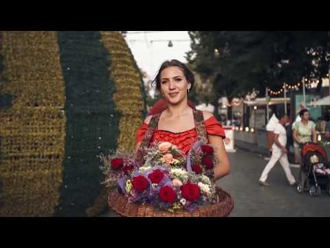 Why you shoud visit and stay in Odessa city?