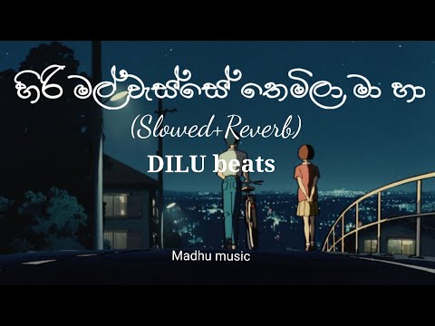 Hiri mal wasse themila || නුඹව සොයා || Nubawa soya | Slowed & Reverb  DILU beats || Hiri mal wasse