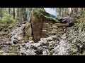 Building A Secret Warm Survival Shelter Under The Root Of A LARGE Tree Off Grid Living