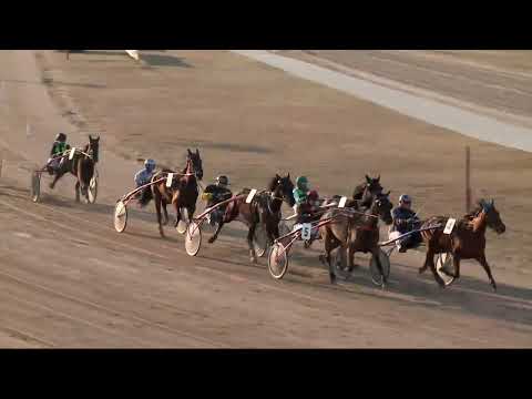 2022.03.19. 06. futam - AMATŐRVERSENY DÍJ