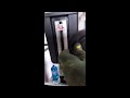 Přehrát video