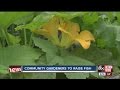 Community Garden In Tampa Heights Will Raise Fish