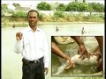 Pon Vilaiyum Bhoomi 31 07 2014