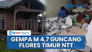 Dampak Gempa M 4,7 Guncang Lembata NTT: Puluhan Rumah Rusak, 1 Orang Terluka Tertimpa Bangunan