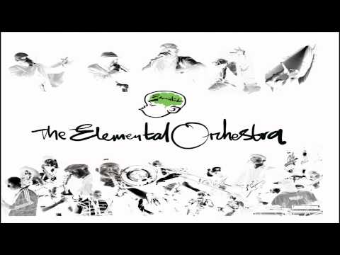 The Elemental Orchestra - Science of the Spirit