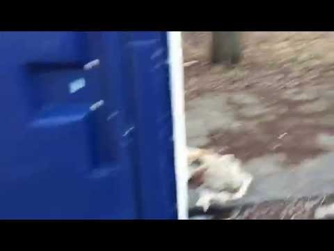 Porta-Potty Surprise