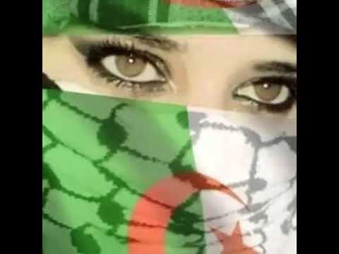 اجمل اغنية جزائرية شيخ كمال نمري kamal nemri