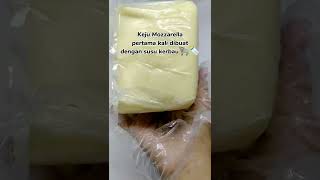 Download lagu Ini dia fakta unik Keju Mozzarella yang harus kamu ketahui! 🧀🥰 mp3 Download lagu Ini dia fakta unik Keju Mozzarella yang harus kamu ketahui! 🧀🥰 mp3
