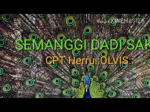 SEMANGGI DADI SAKSI::CPT HERRU ILVIS