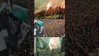 Download lagu Story wa bcs pss mp3 Download lagu Story wa bcs pss mp3