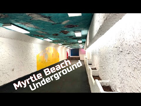 youtube embeded image