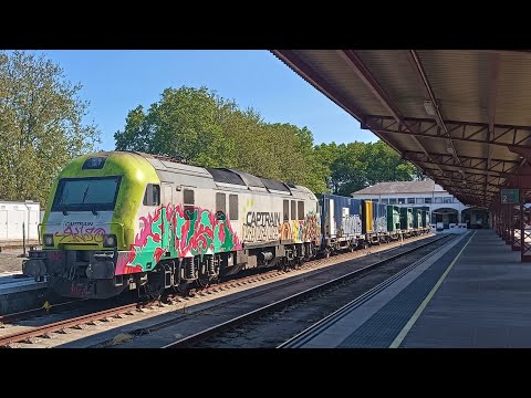 Herbicida Captrain en Ferrol