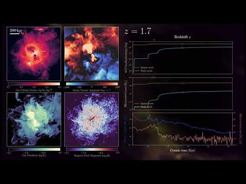 AGN Feedback in IllustrisTNG-50 Simulation